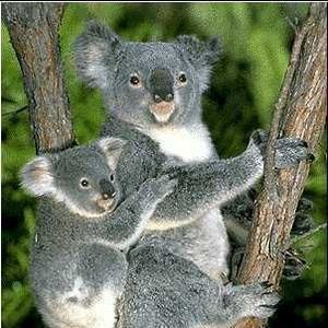 Meet your Posher, Leigh ann